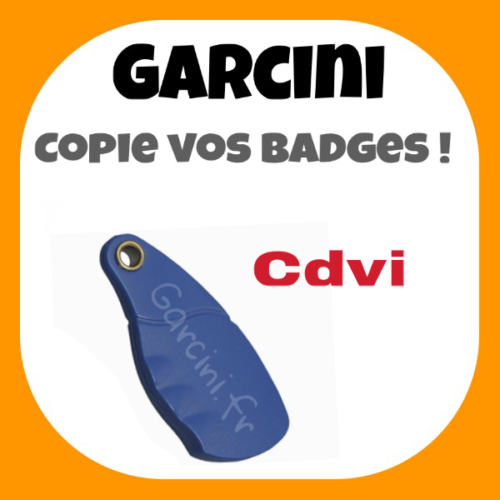Badge CDVI bleu