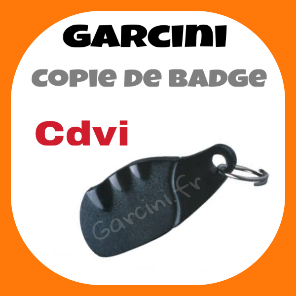 Badge cdvi noir