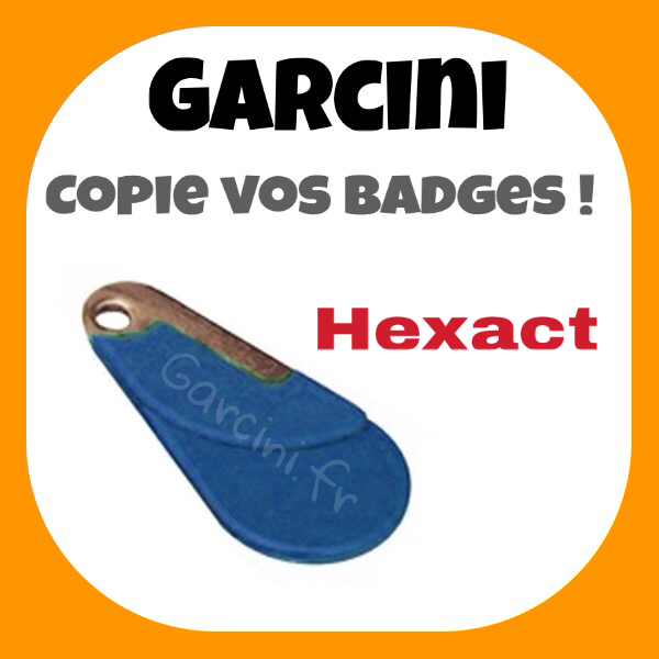 Badge Hexact bleu
