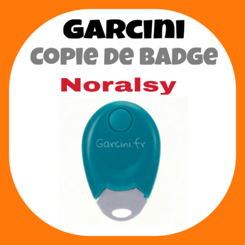 Badge Noralsy bleu