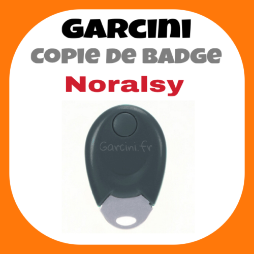 Badge Noralsy noir