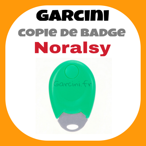 Badge Noralsy vert ancien model