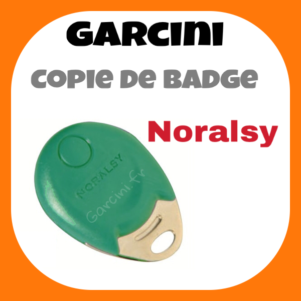 Badge Noralsy vert