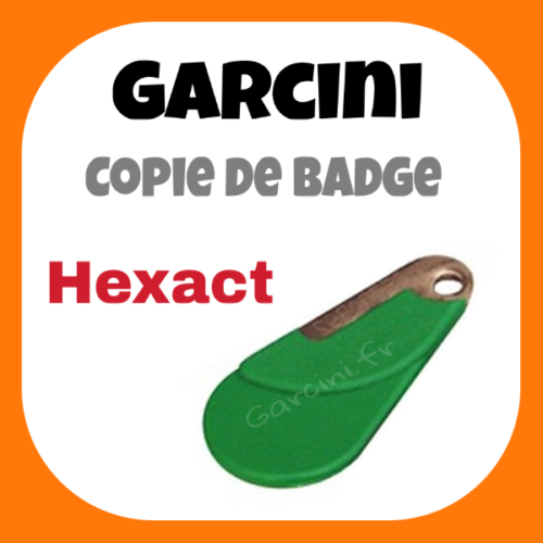 Badge Hexact vert