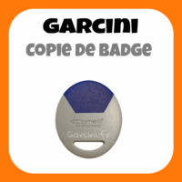 Badge Immotec Comelit bleu