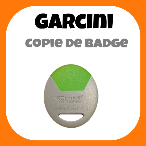 Badge Immotec Comelit vert