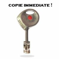 Clé Fichet 787 Z